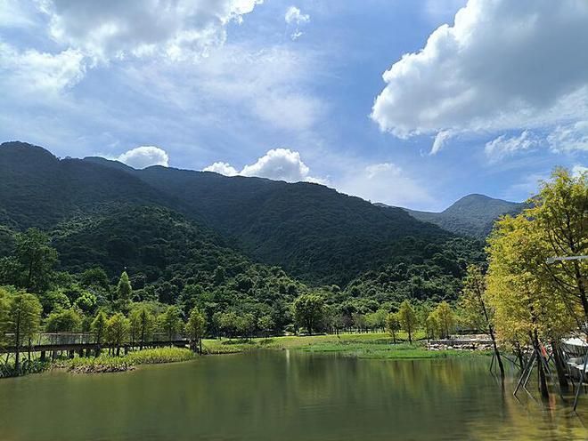 贵州天然五指山遭破坏：环境与文化的双重损失